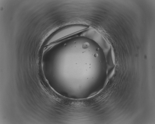 X0000065260440200603031832