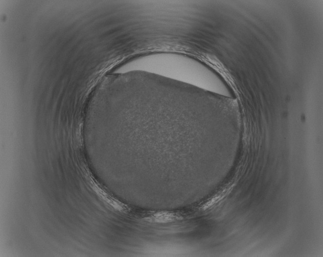 X0000065260441200603031832