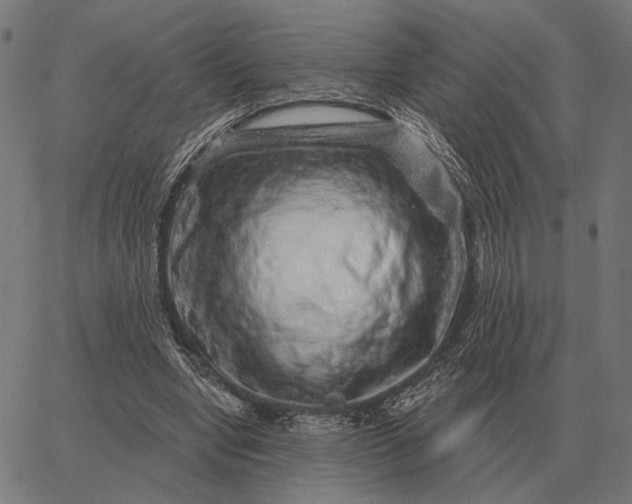 X0000065260442200603031832