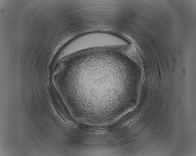 X0000065260443200603031832