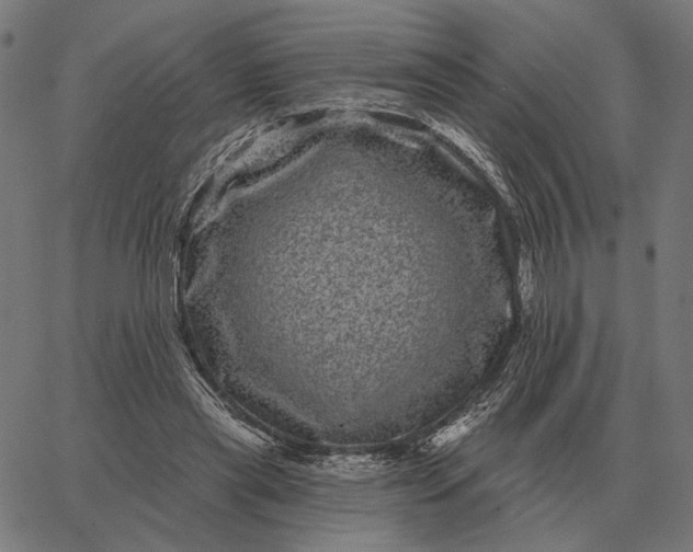 X0000065260445200603031832