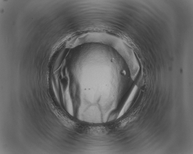 X0000065260446200603031833