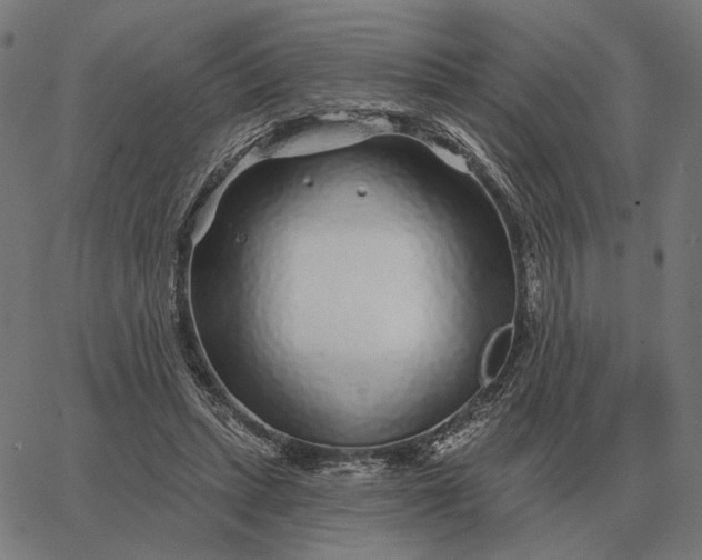 X0000065260447200603031833