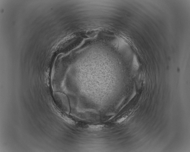 X0000065260450200603031833