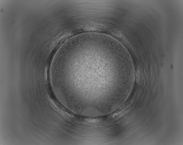 X0000065260454200603031833