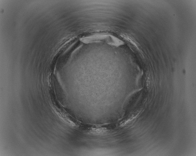 X0000065260455200603031833