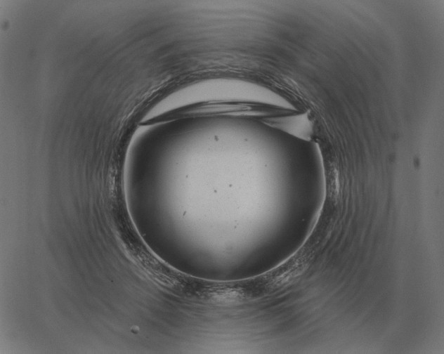 X0000065260456200603031833