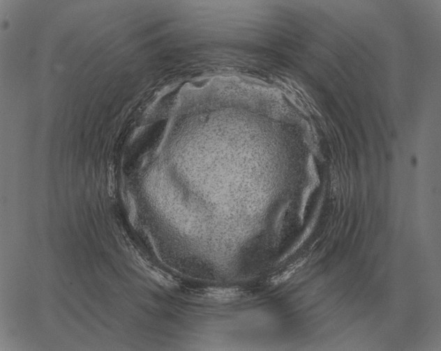 X0000065260457200603031833