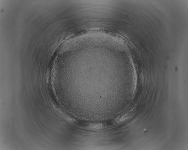 X0000065260458200603031833