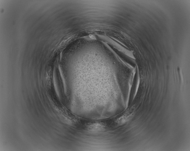 X0000065260460200603031833