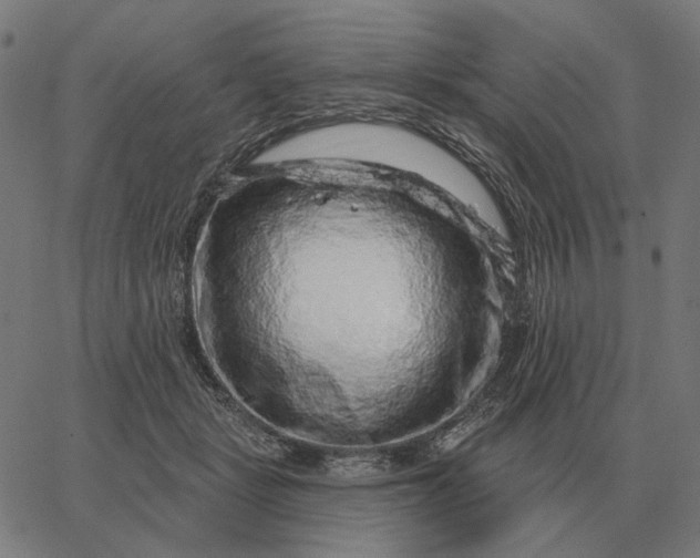 X0000065260461200603031833