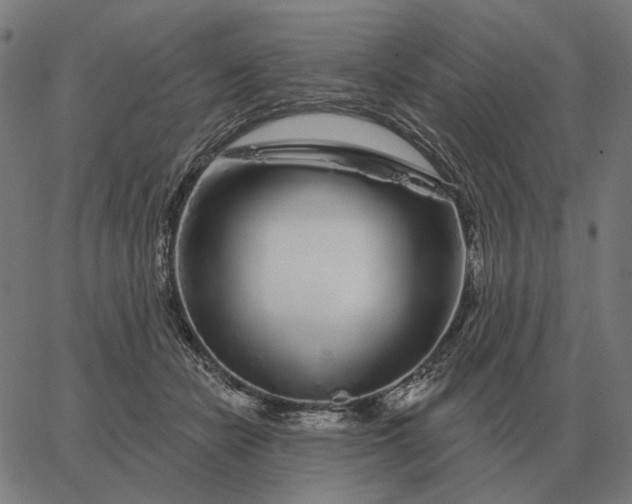 X0000065260462200603031833