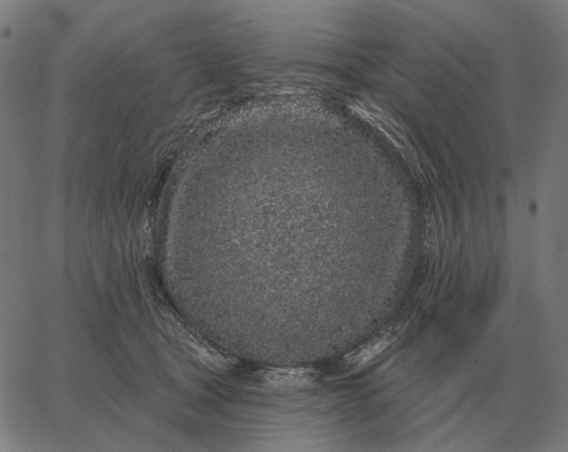 X0000065260465200603031833