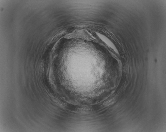 X0000065260466200603031833