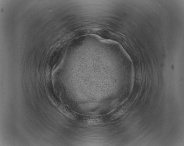 X0000065260468200603031833