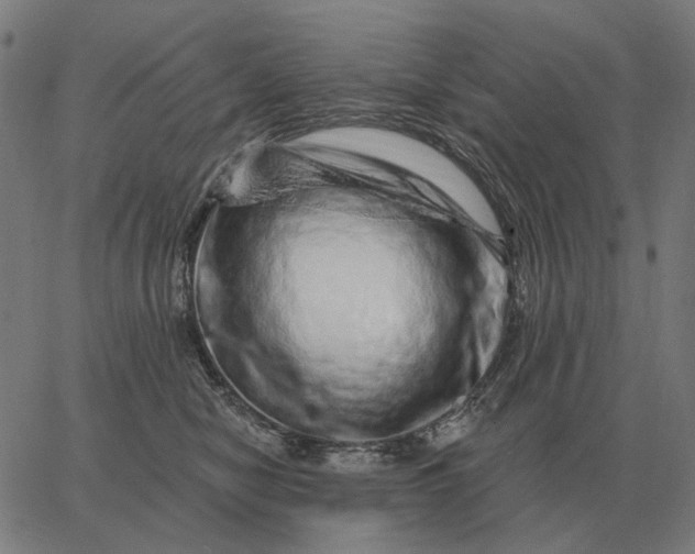 X0000065260470200603031833