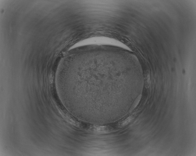 X0000065260472200603031833