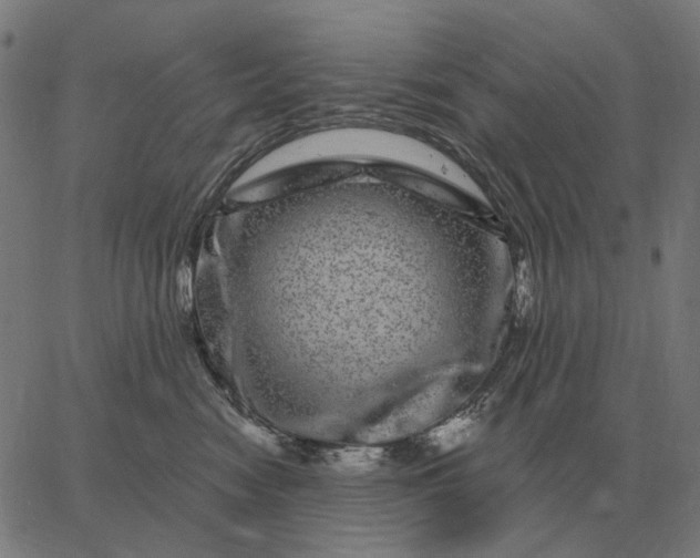 X0000065260474200603031833