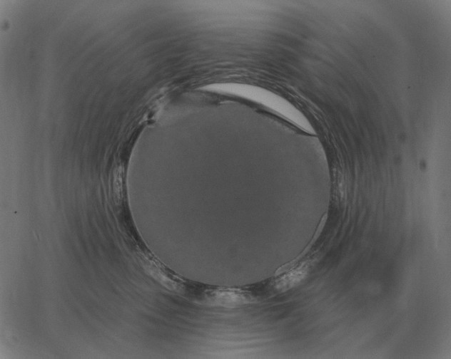 X0000065260475200603031833