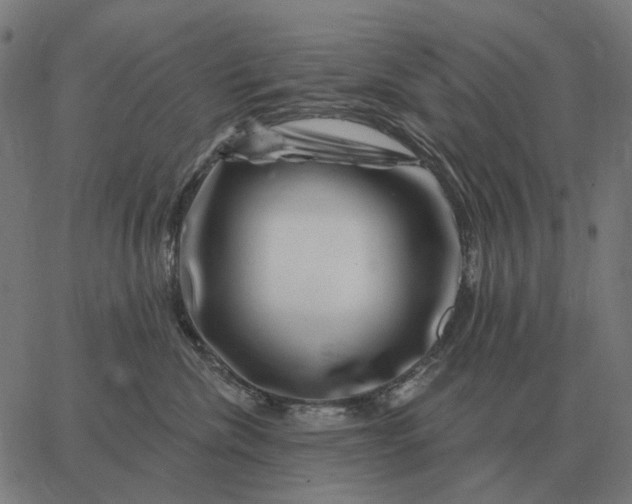 X0000065260476200603031833