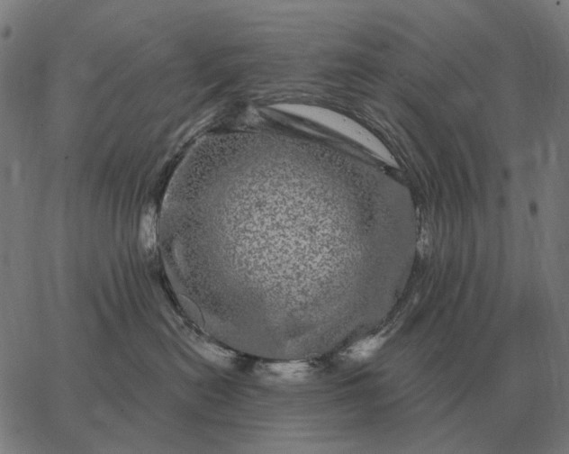 X0000065260478200603031833