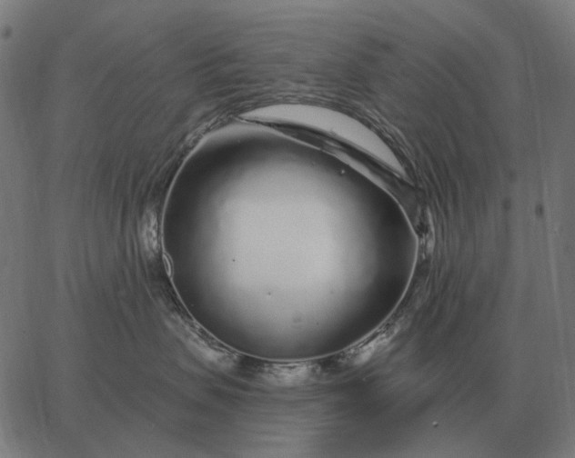 X0000065260479200603031833