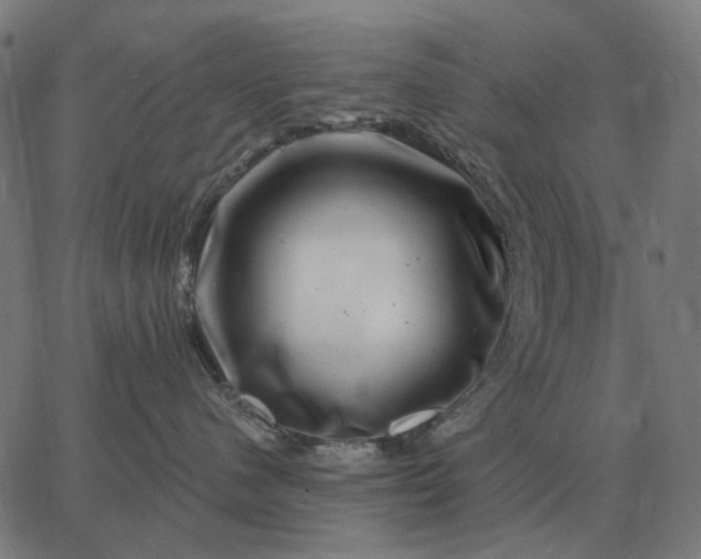 X0000065260480200603031833