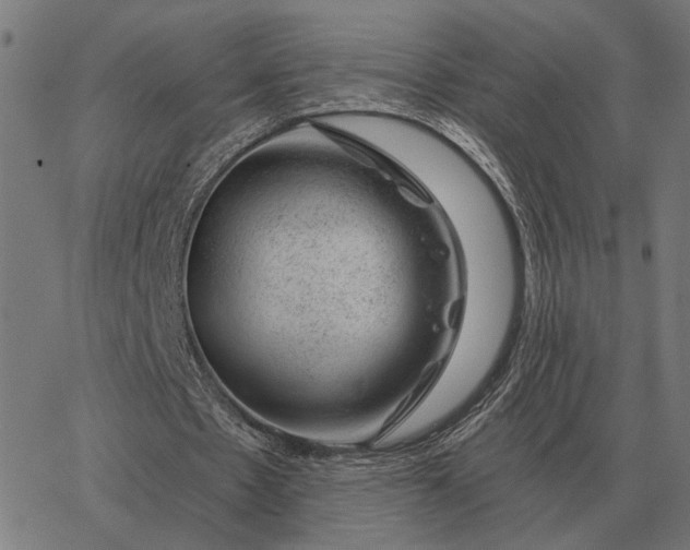 X0000065260481200603031832