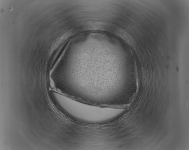 X0000065260482200603031832