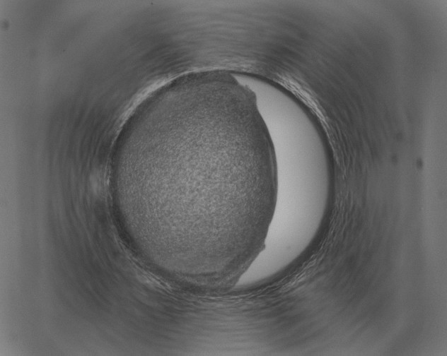 X0000065260483200603031832