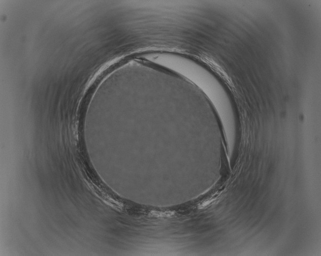 X0000065260484200603031832