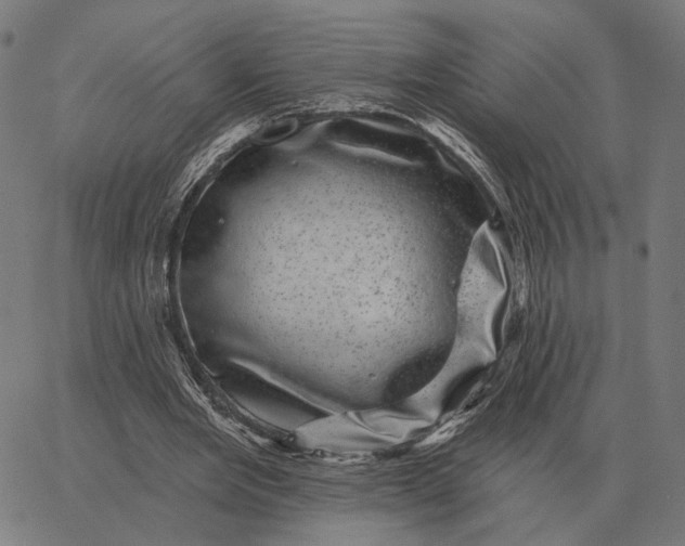 X0000065260485200603031832