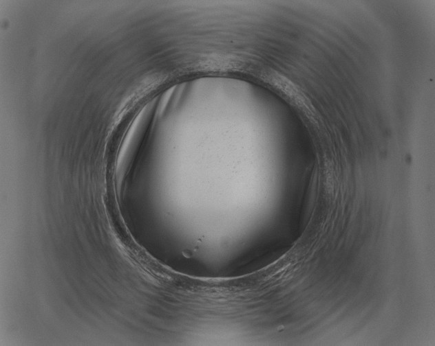 X0000065260486200603031832