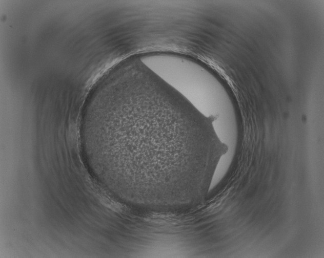 X0000065260487200603031832