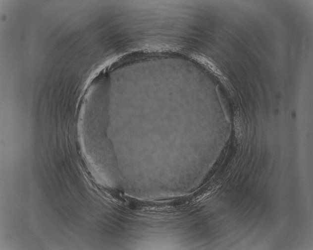 X0000065260488200603031832