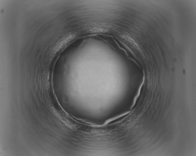 X0000065260490200603031832