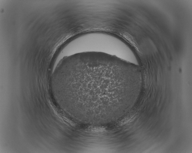 X0000065260491200603031832