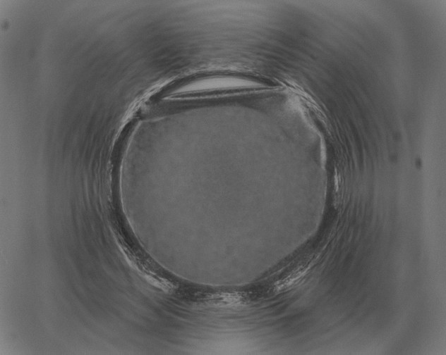 X0000065260492200603031832