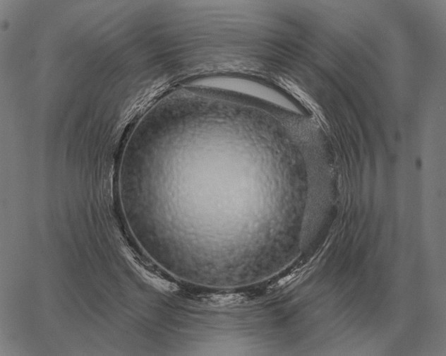 X0000065260493200603031832