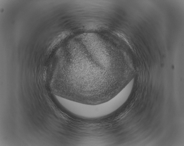 X0000065260495200603031832