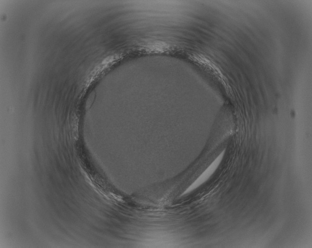 X0000065260496200603031832