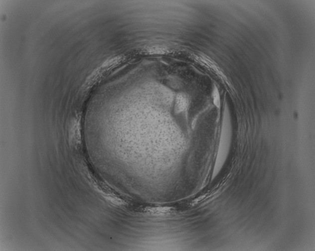 X0000065260497200603031832