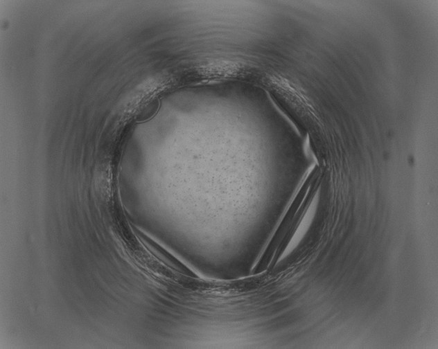 X0000065260498200603031832