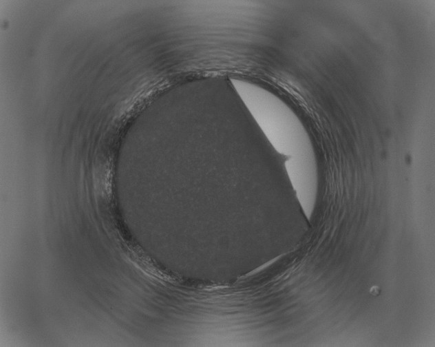 X0000065260499200603031832