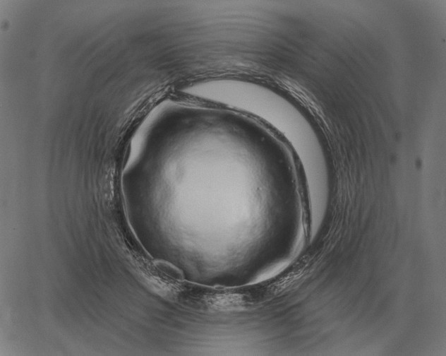 X0000065260501200603031832