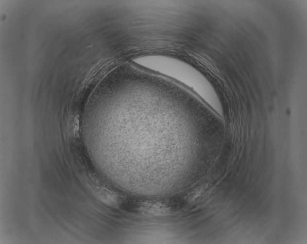 X0000065260502200603031832