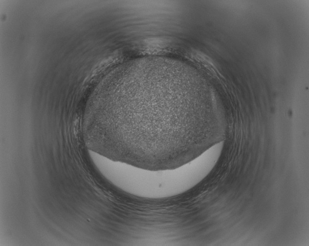 X0000065260503200603031832