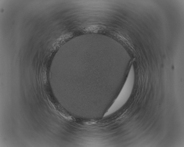 X0000065260504200603031832