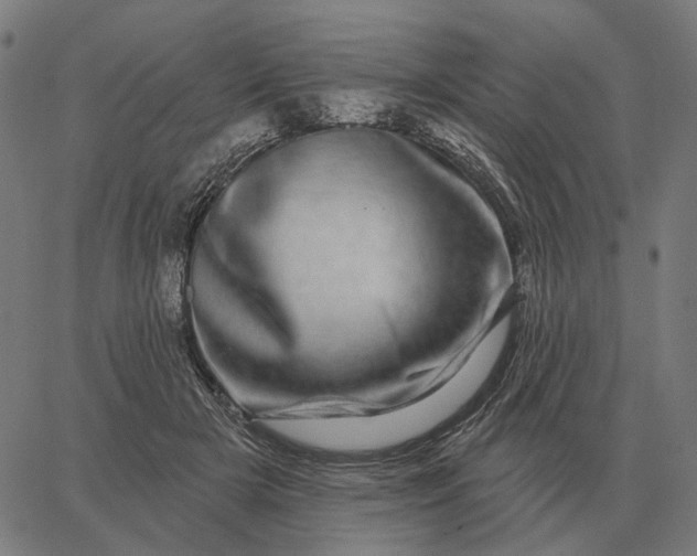 X0000065260505200603031832