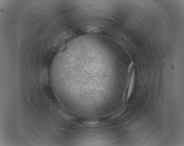 X0000065260506200603031832